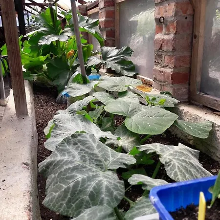 民宿 O Vert'jardin